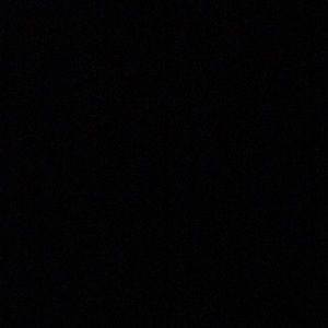 Meet your Posher, Lizzie